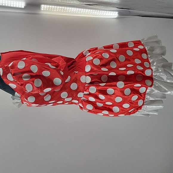 Mini Mouse Dress/Costume - Picture 7 of 13